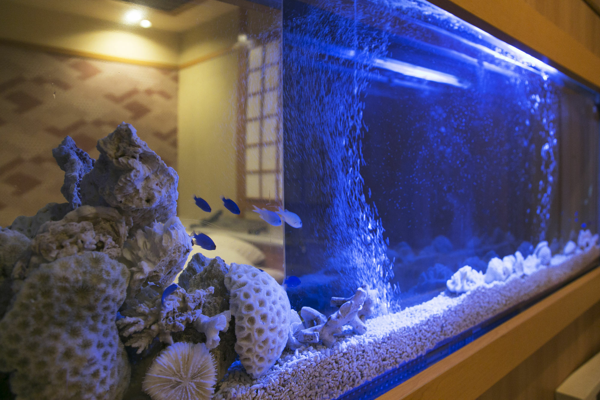 Hotel Atlantis Higashi Osaka (Adults Only) Bagian luar foto